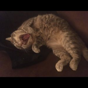 Meet your Posher, Feier